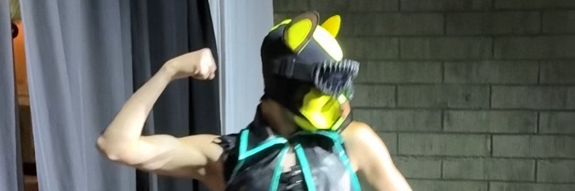 puphoshi's profile banner image