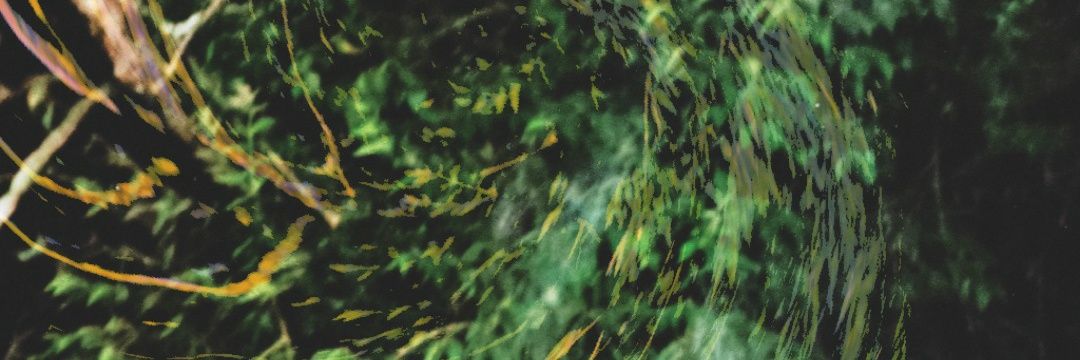 MTivisClark's profile banner image