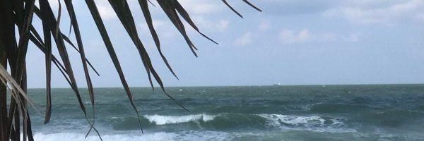 laraveliz_ Profile Banner