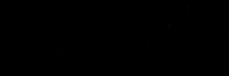wy. banner