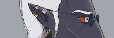 cursedB0NES's profile banner image