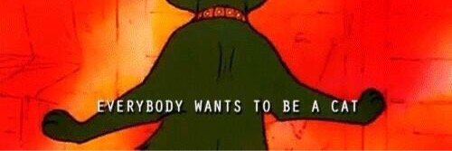 ATexasCatLady's profile banner image