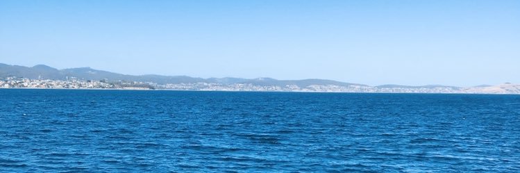 Nicholas Finch banner