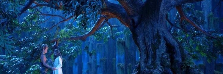 diaragui's profile banner image