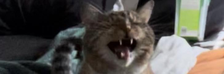 baileyrasm_'s profile banner image