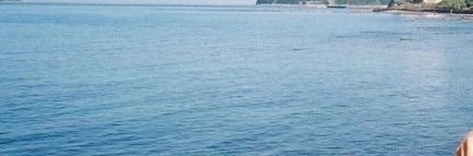 取引 banner