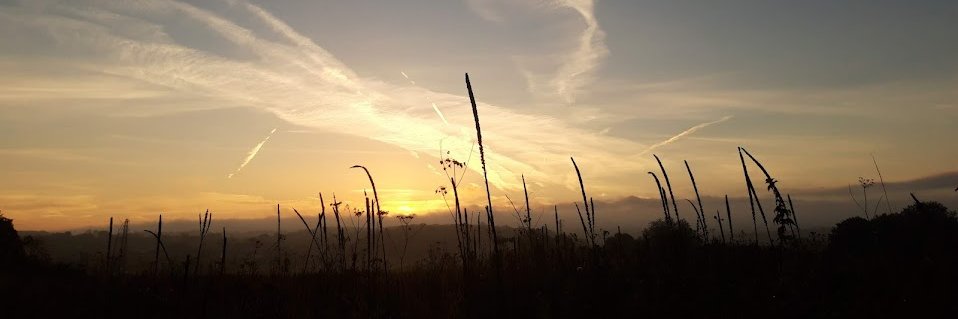 Orchard Alerind 💙😷 banner