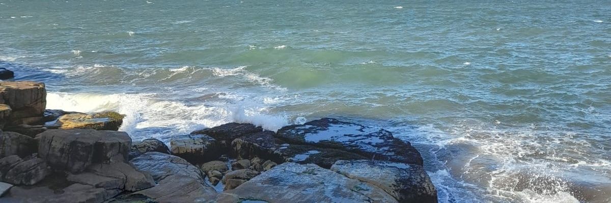 CenizoLuli's profile banner image