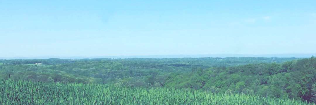 Corboflow's profile banner image