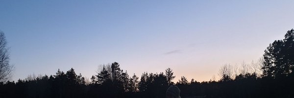 Olasve1 Profile Banner