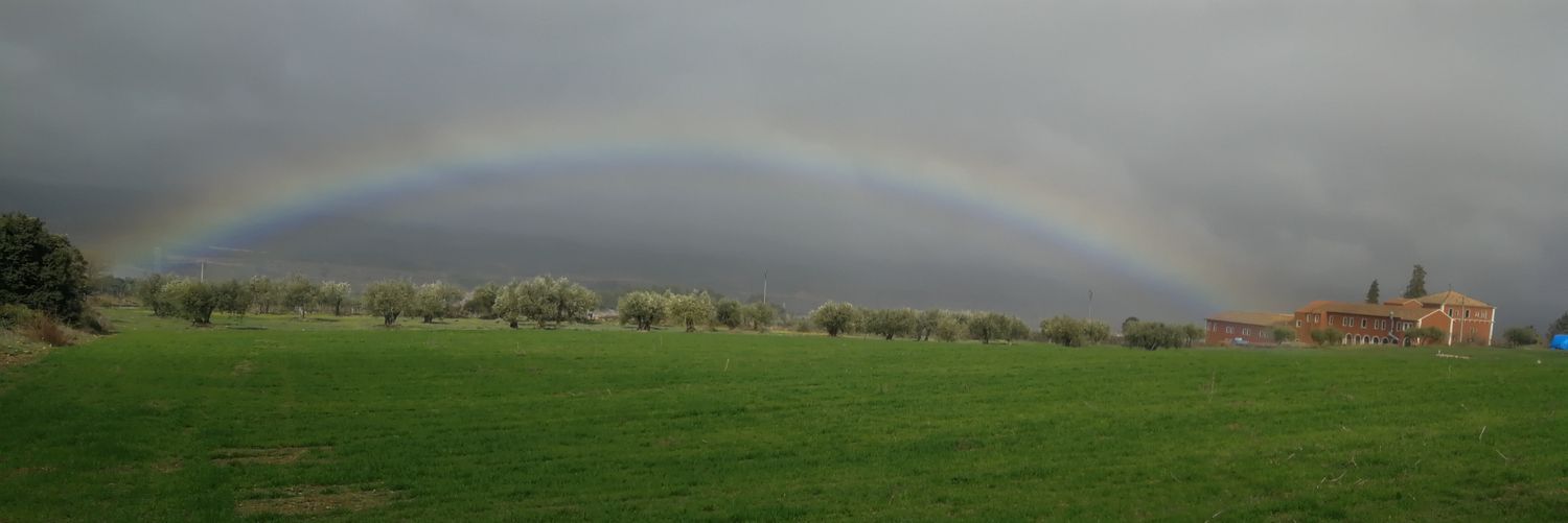 martierminia's profile banner image