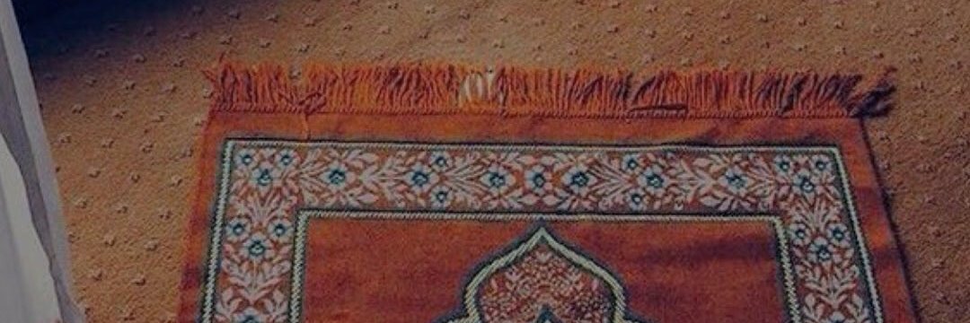 lt8p7amizo's profile banner image