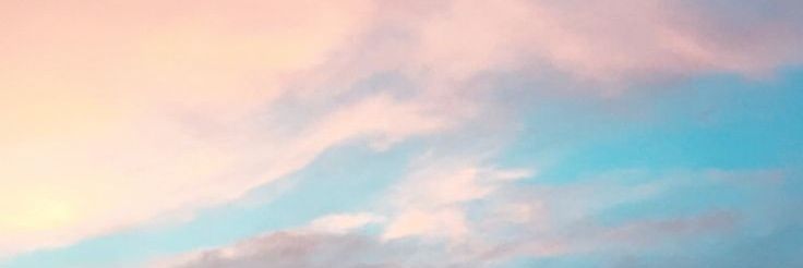 Jay banner