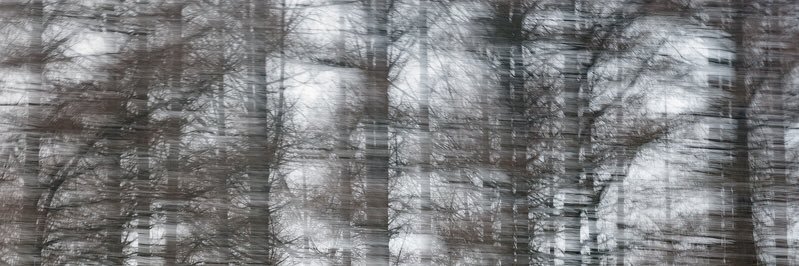 sholdack's profile banner image