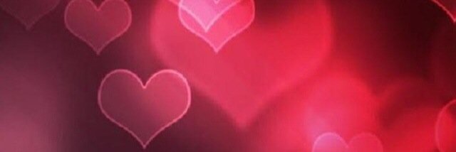 sho11134's profile banner image