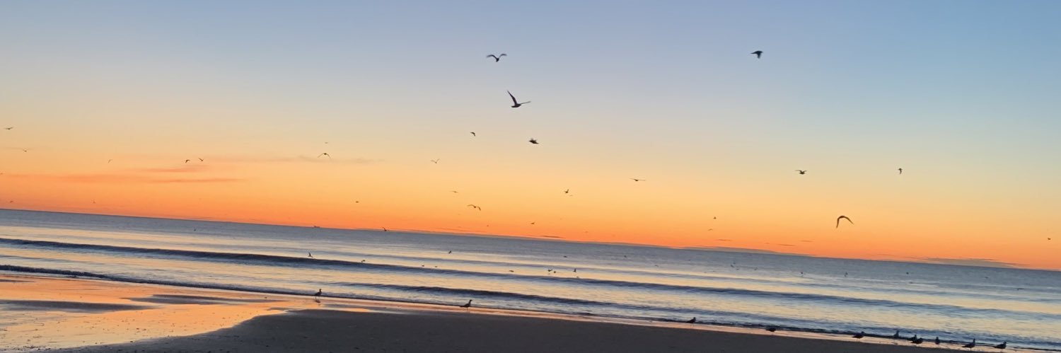 dminchella's profile banner image