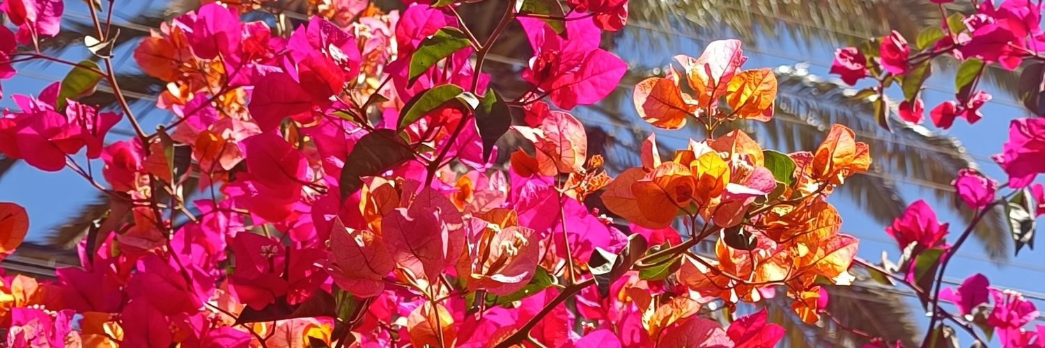 hipeerbaton's profile banner image