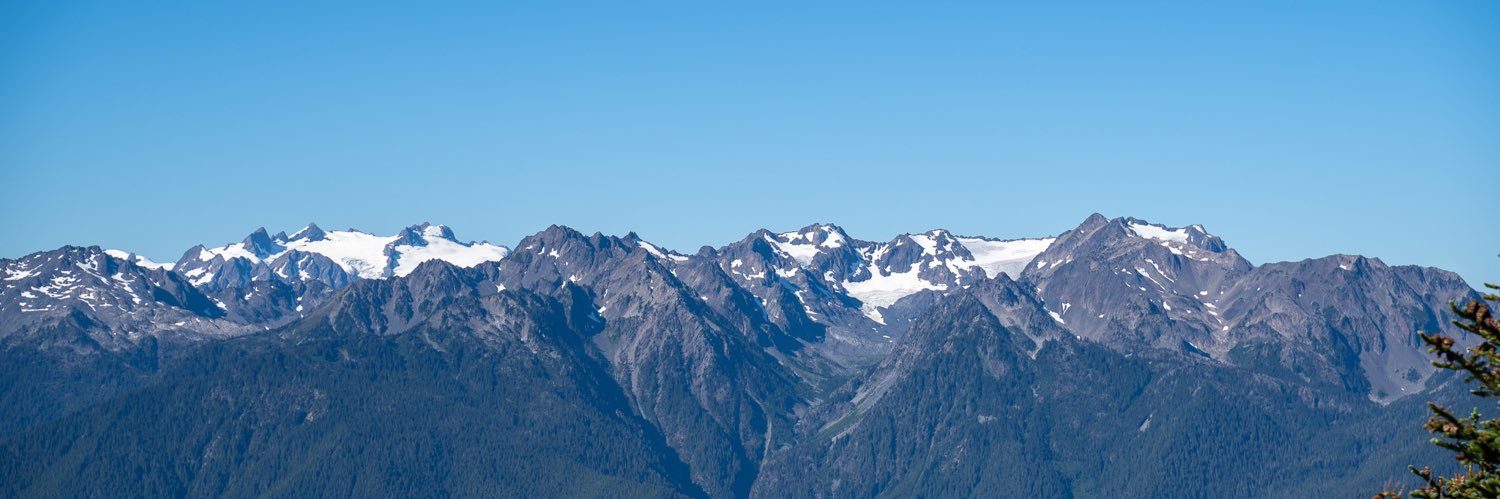 Chris Stayte banner