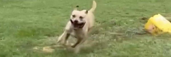 ArmedNomad Profile Banner