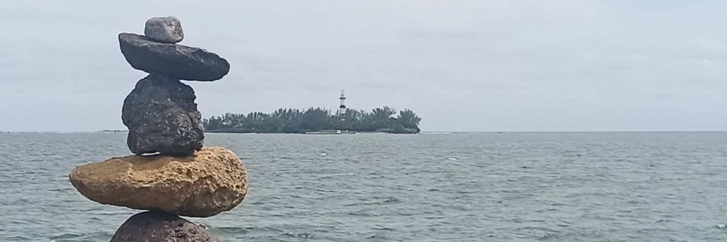 FelloAranoSil's profile banner image