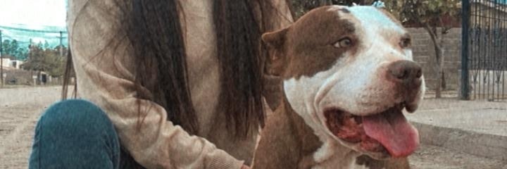 Roo_mirabal08's profile banner image