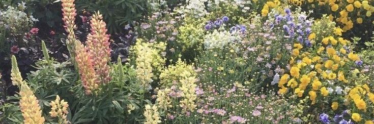 ᴍ͜͡ᴀʙᴇʟˊ. ✿ˎ banner