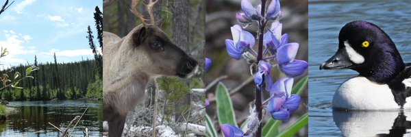 KBACanada Profile Banner