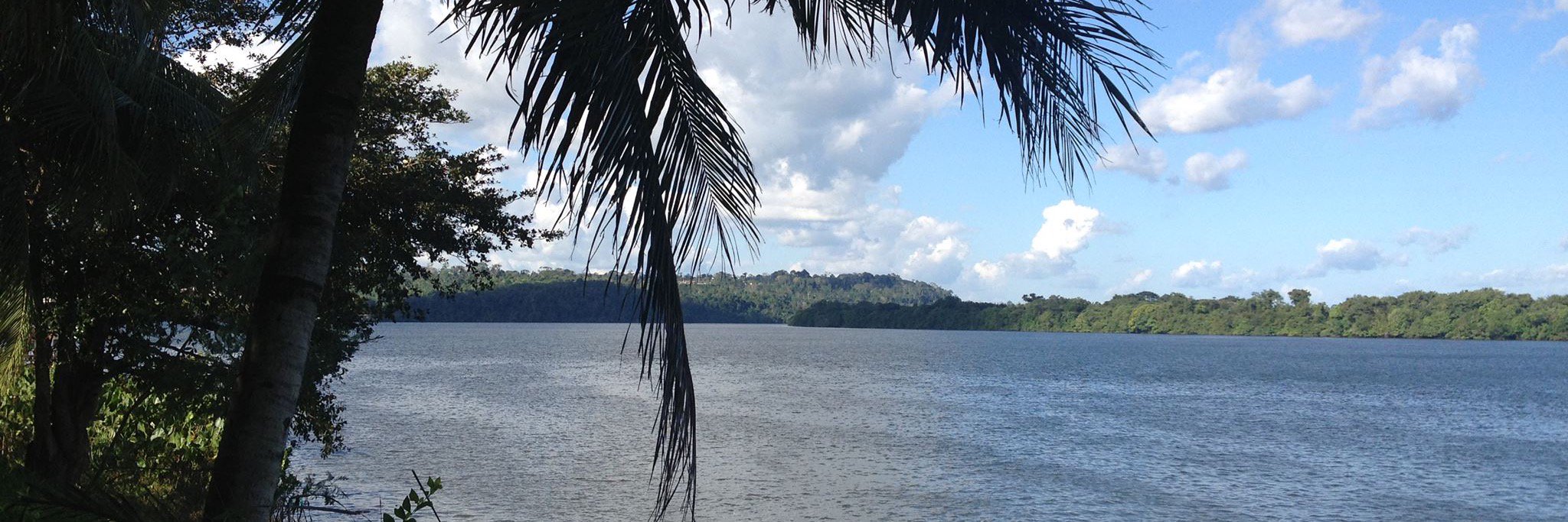 FlaviaScabin's profile banner image