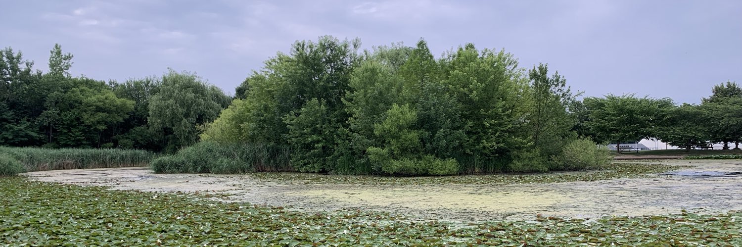 Mariana Socal banner