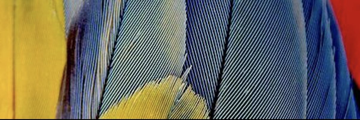 deysisolis's profile banner image