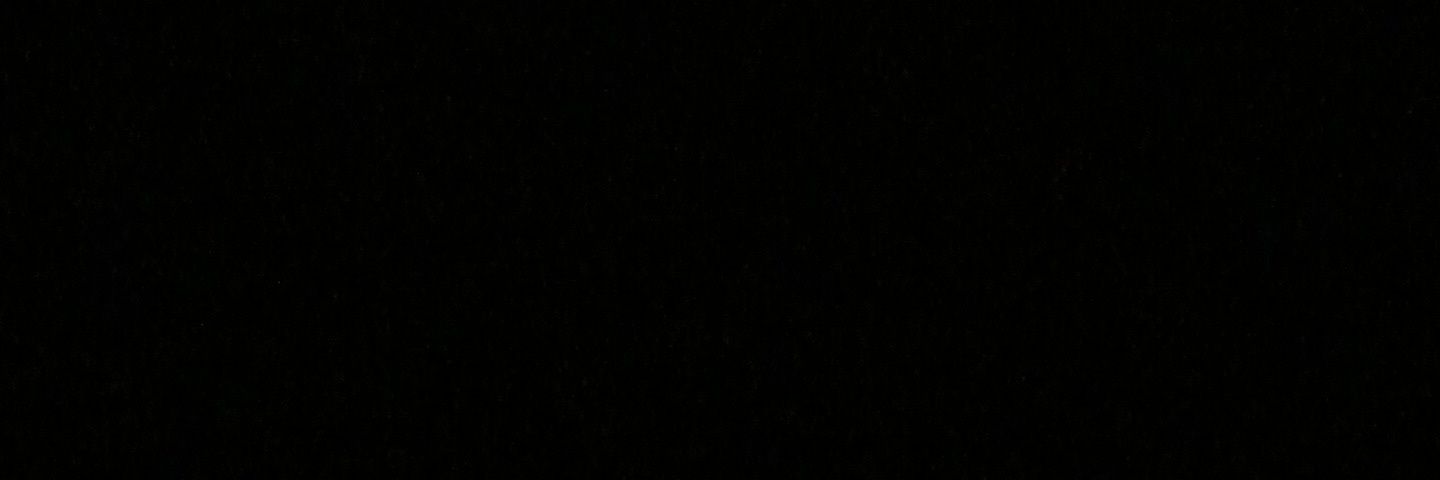 goosebumps banner