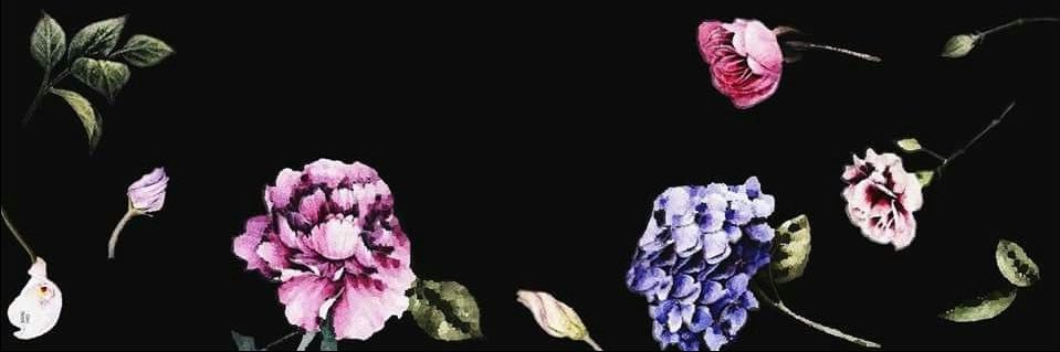 merakidae's profile banner image