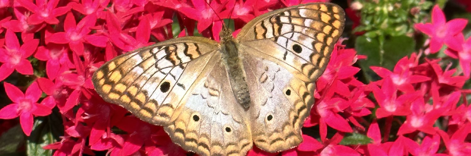 Jordon Anderson banner