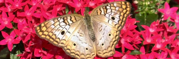 jayander96 Profile Banner