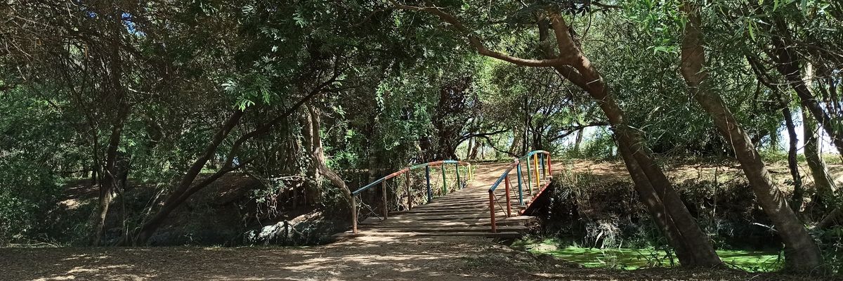 Mystic_Girl's profile banner image