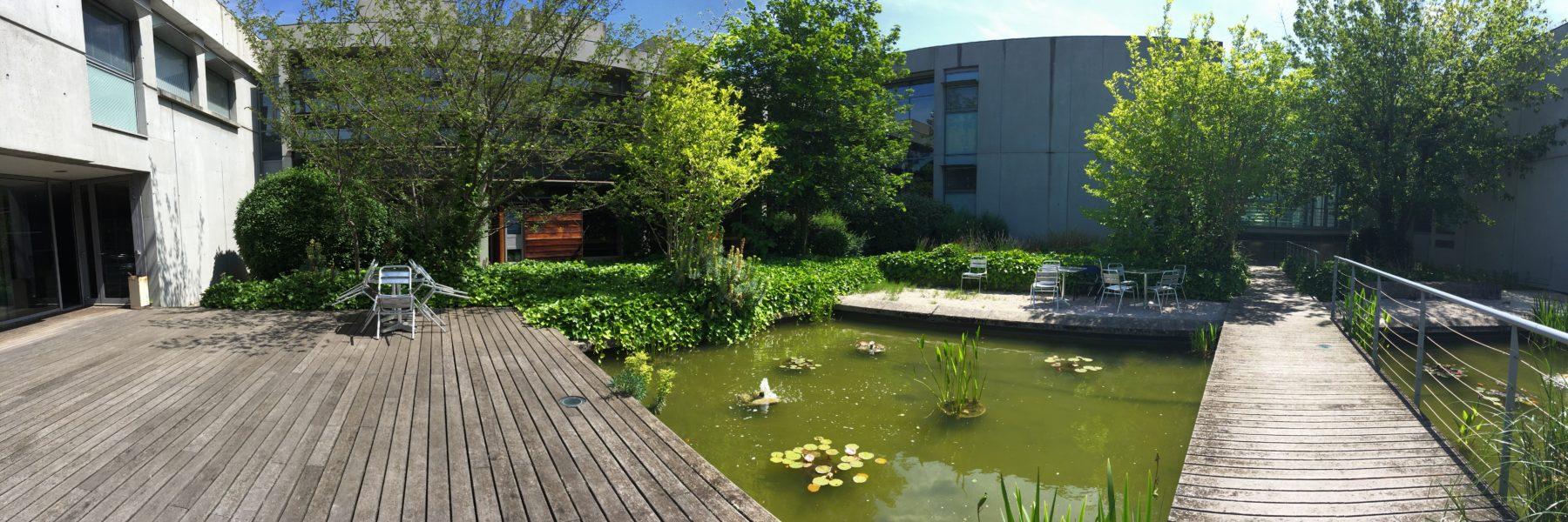 Institut des Sciences Cognitives - Marc Jeannerod banner