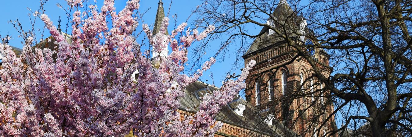 QE Interact Club banner