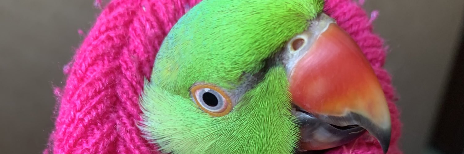 DAG banner