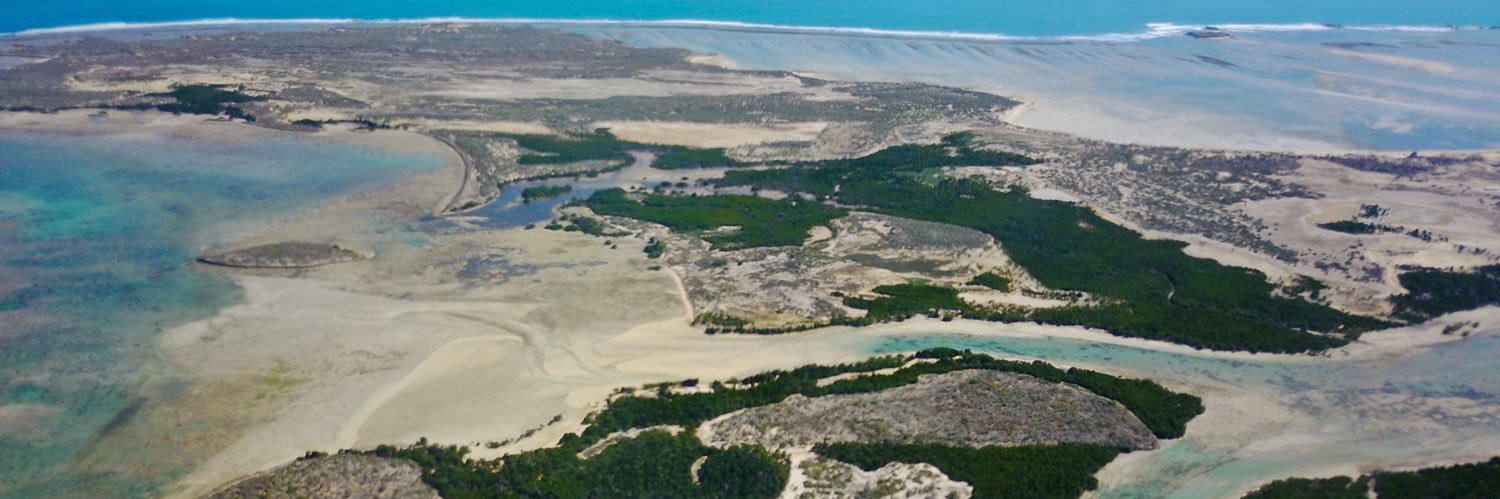 Olo Be Taloha Lab banner