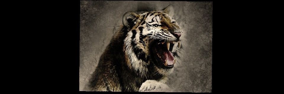 CAG_97's profile banner image