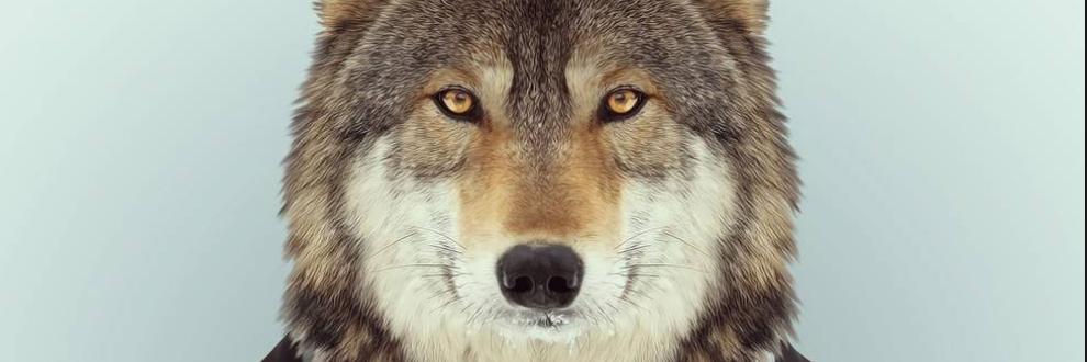 Alérgico a la desigualdad banner