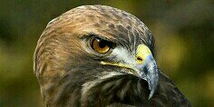 mousa19531's profile banner image