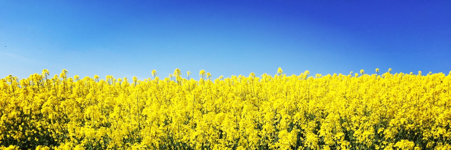 Carryl Church banner