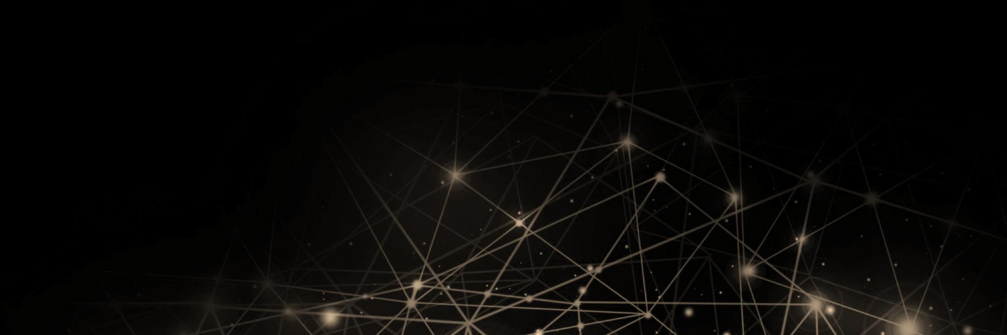 Maya Preferred 223 banner