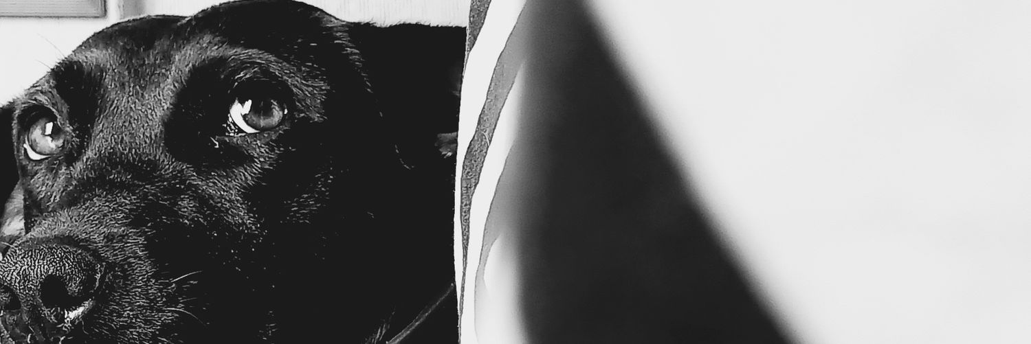 skywalker_md's profile banner image