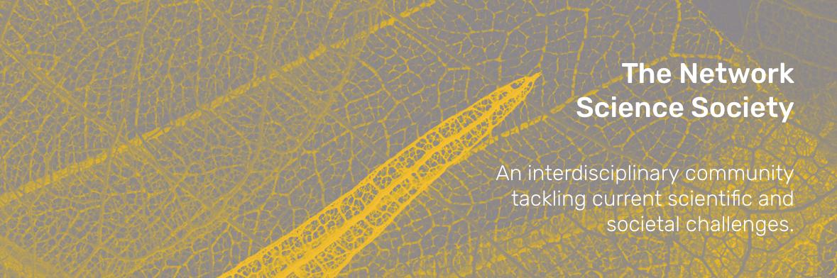 Network Science Society's banner
