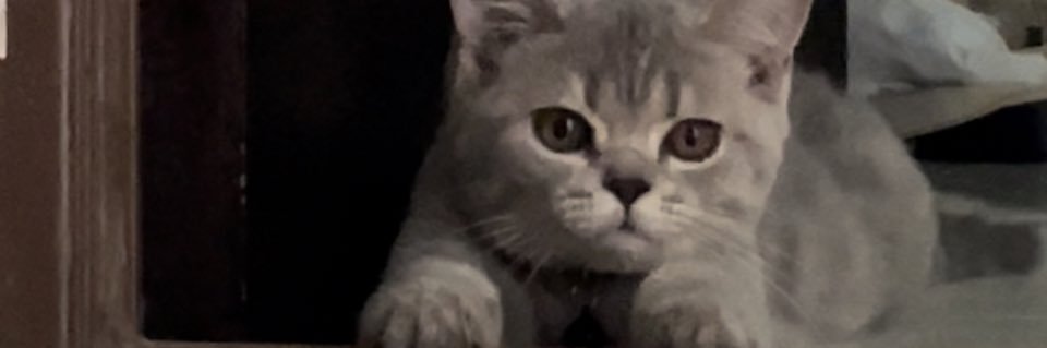 mir4rsl's profile banner image