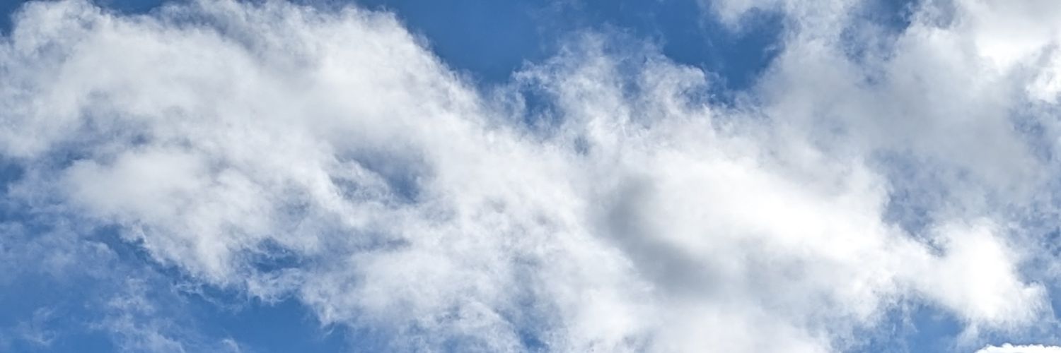 N0isy_a's profile banner image