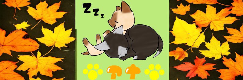 FU7PY-アナ3 banner