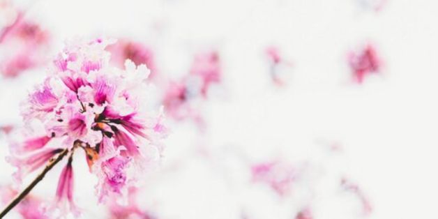 janiriscraig's profile banner image